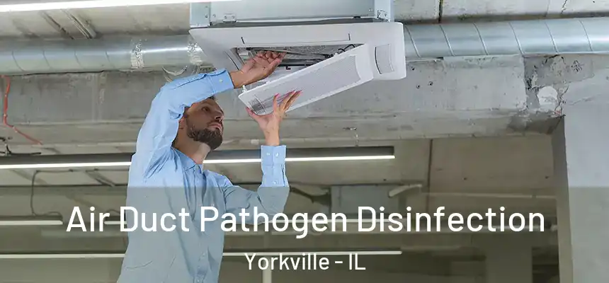  Air Duct Pathogen Disinfection Yorkville - IL