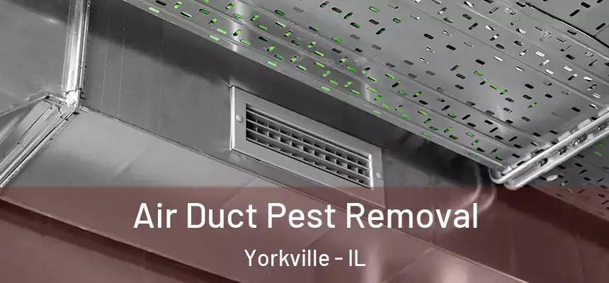  Air Duct Pest Removal Yorkville - IL