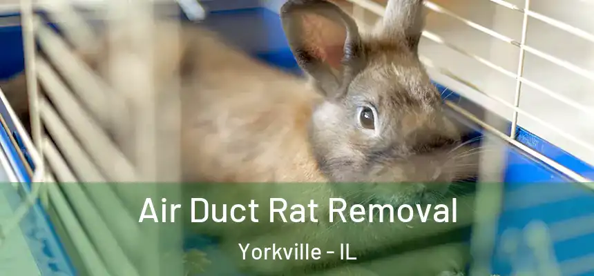  Air Duct Rat Removal Yorkville - IL