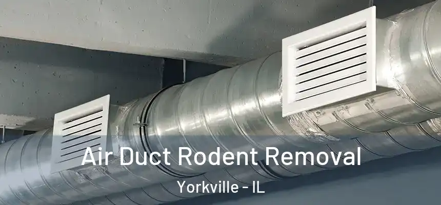  Air Duct Rodent Removal Yorkville - IL