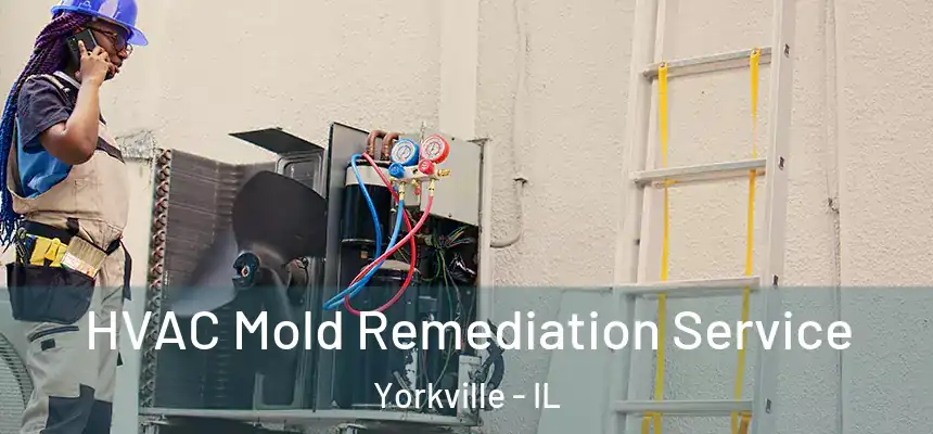  HVAC Mold Remediation Service Yorkville - IL
