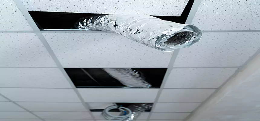 Our Air Duct Pet Hair Removal Services in Yorkville, IL