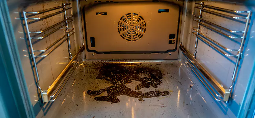 Our Dryer Vent Mold Cleaning Services in Yorkville, IL