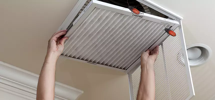 Our Insect Removal from Air Ducts Services in Yorkville, IL