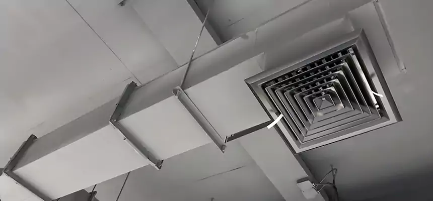 Our Rodent Droppings In Vents Services in Yorkville, IL