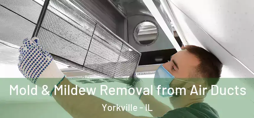  Mold & Mildew Removal from Air Ducts Yorkville - IL