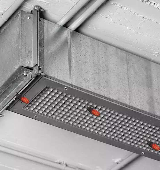 About Air Duct Cockroach Removal in Yorkville, IL