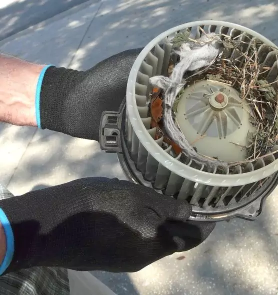 About Air Duct Mice Removal in Yorkville, IL