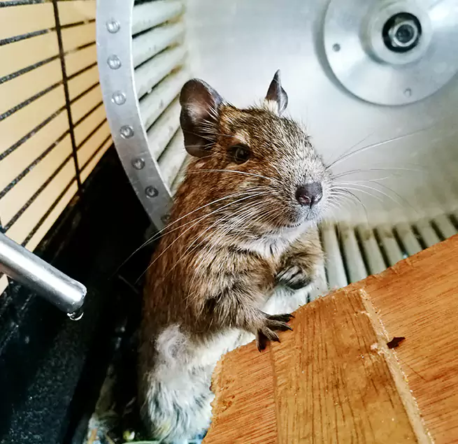 Why Homeowners & Businesses Trust Us Yorkville, IL